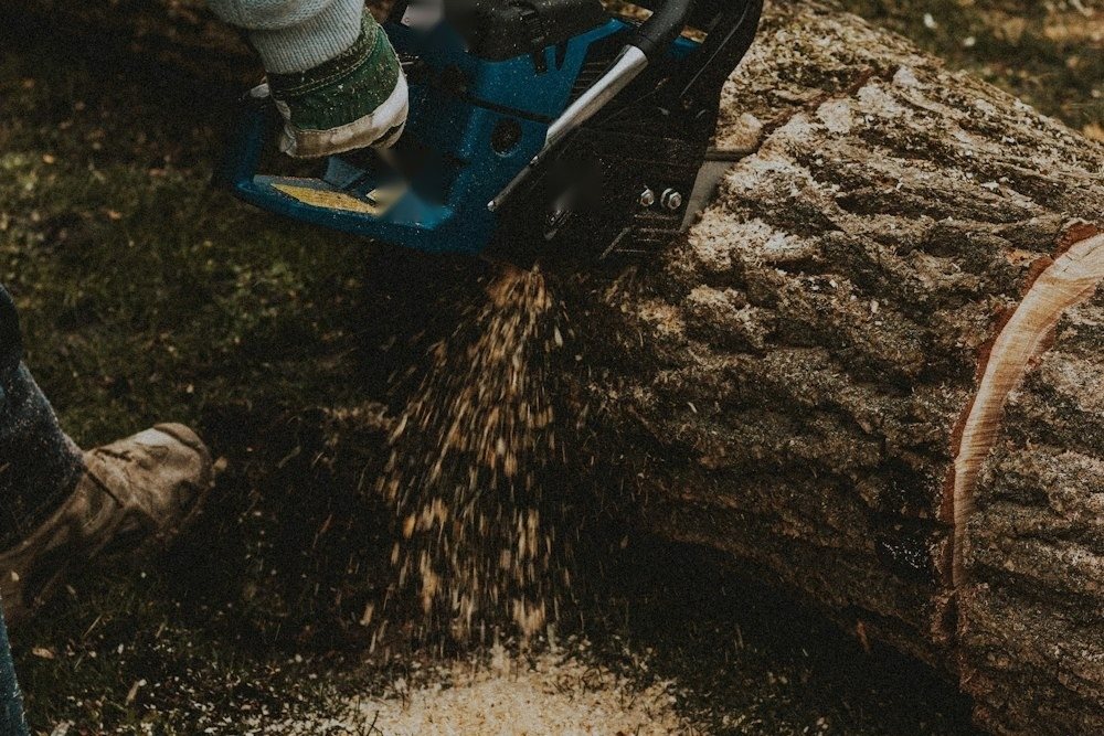 A chainsaw cutting through a tree trunk, sawdust spraying