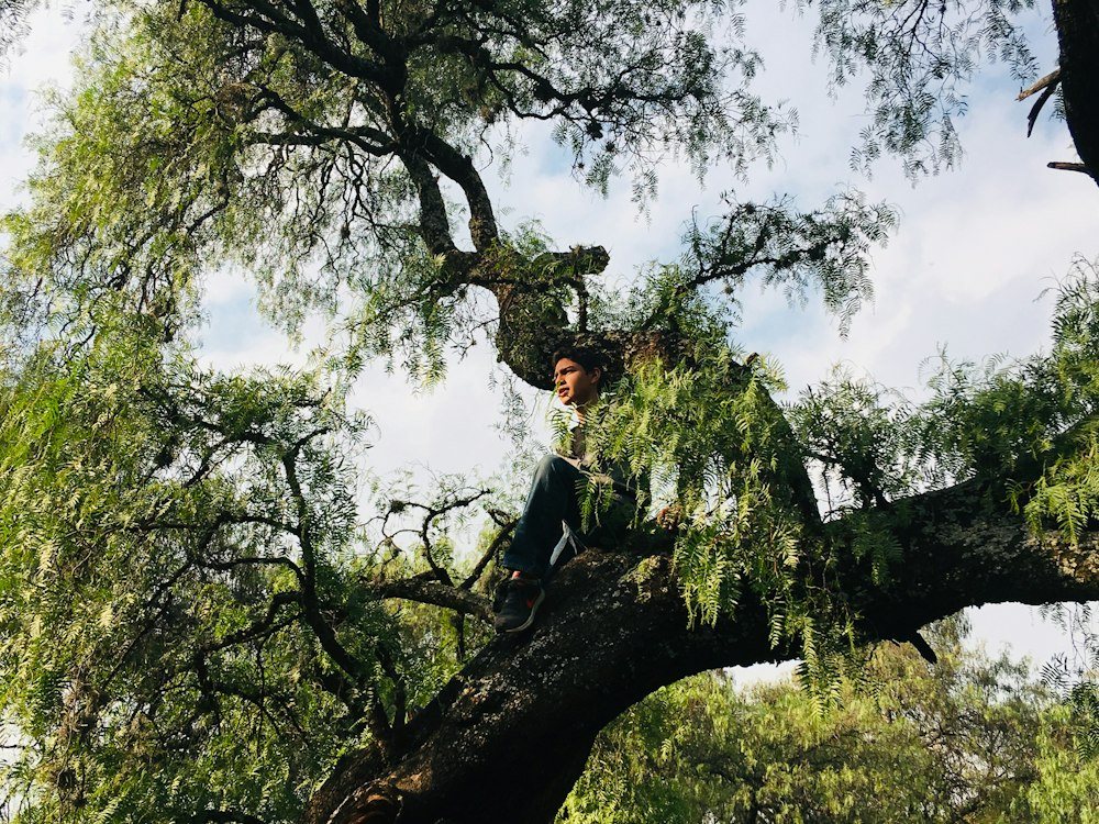 A climber in a helmet and safety glasses roped in against a trunk, reaching for a limb