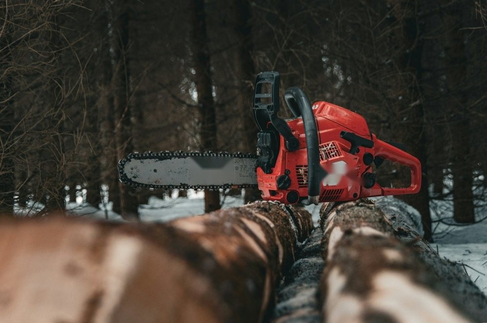 A chainsaw resting on a freshly cut log after a tree removal