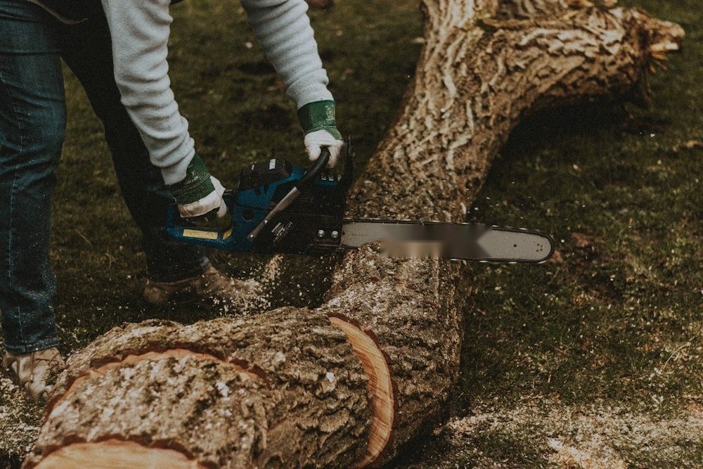 Hands gripping a chainsaw beside a felled trunk during a removal
