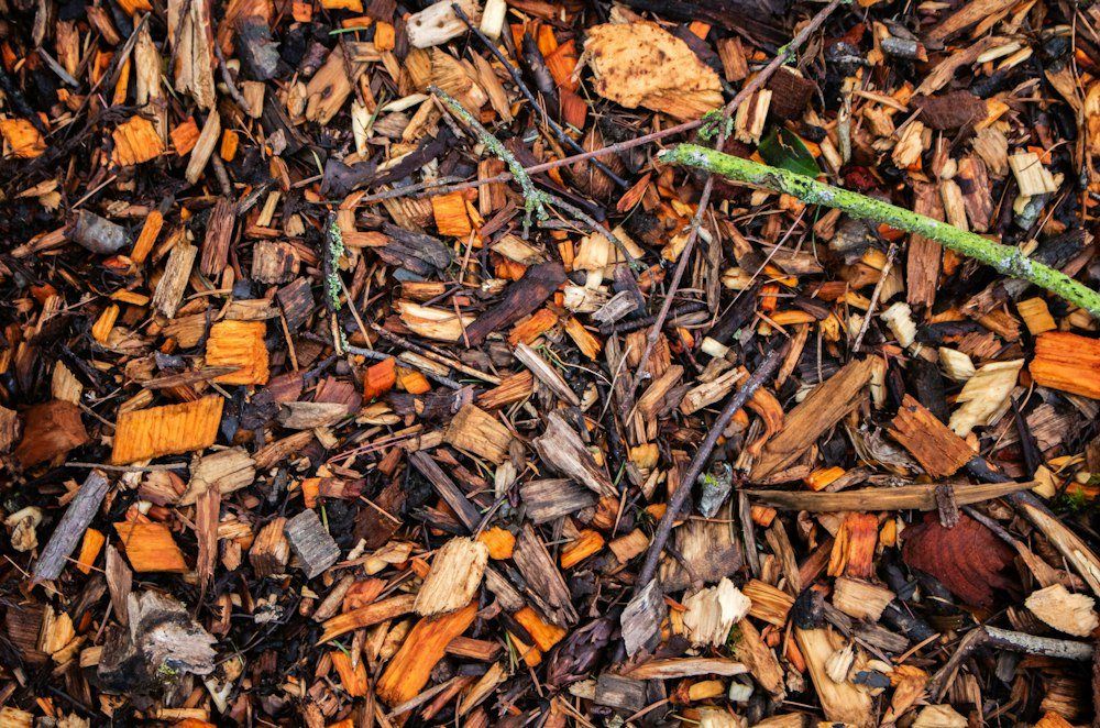 A close-up of fresh wood chips and stump grindings